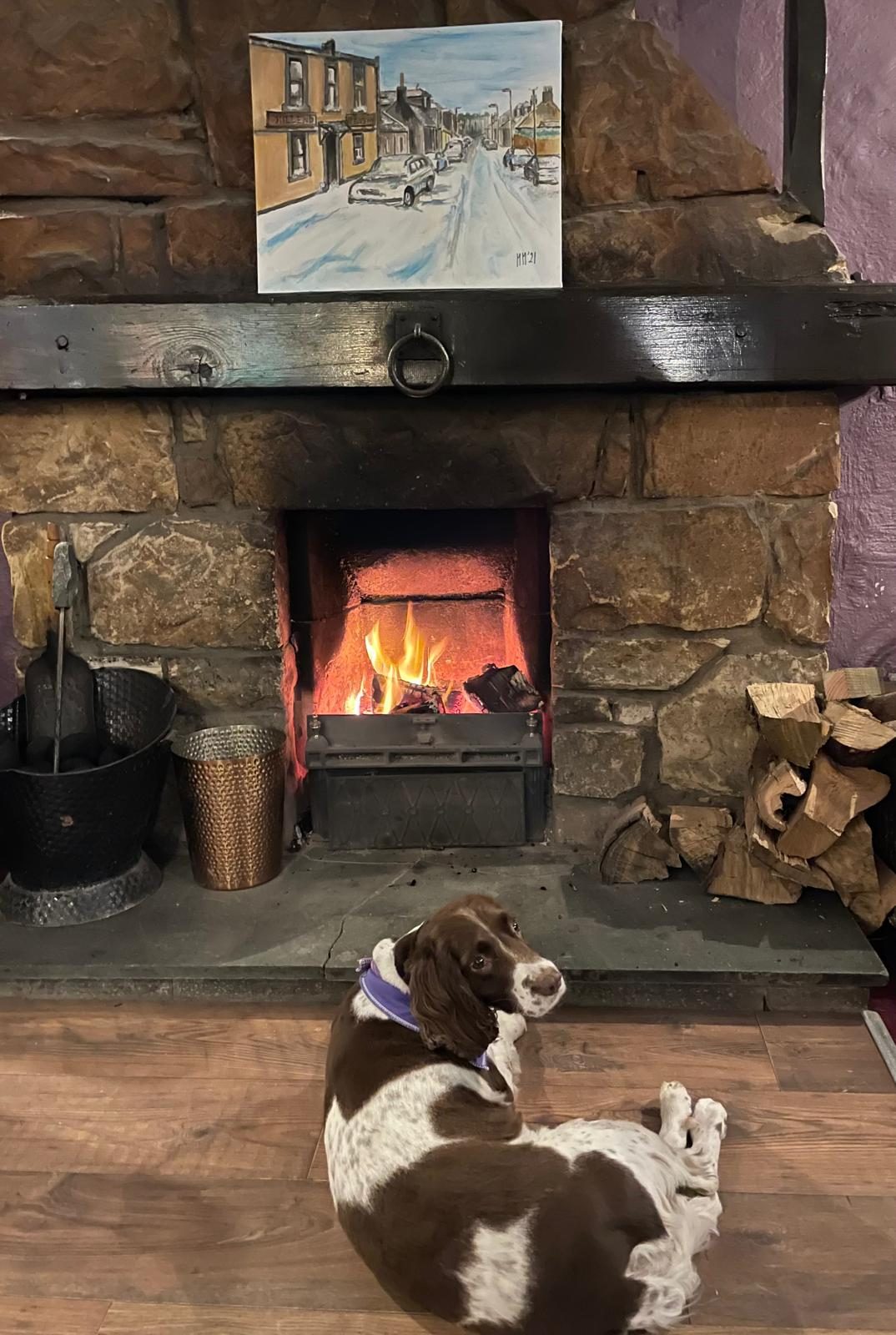 Stella the spaniel lying in front of the coal fire